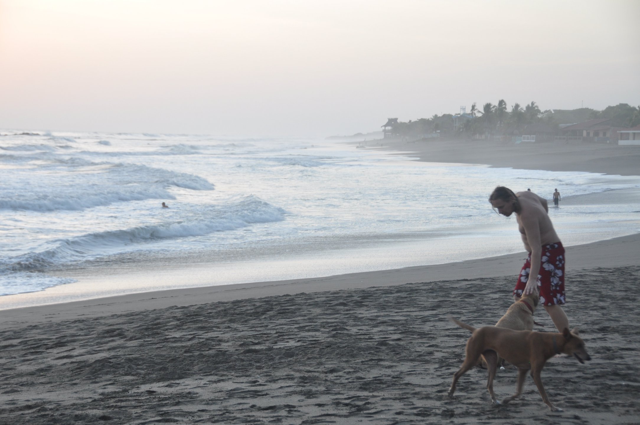 Man with dog on beach in Las Penitas