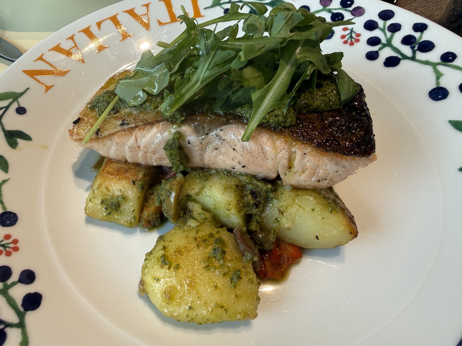 salmon