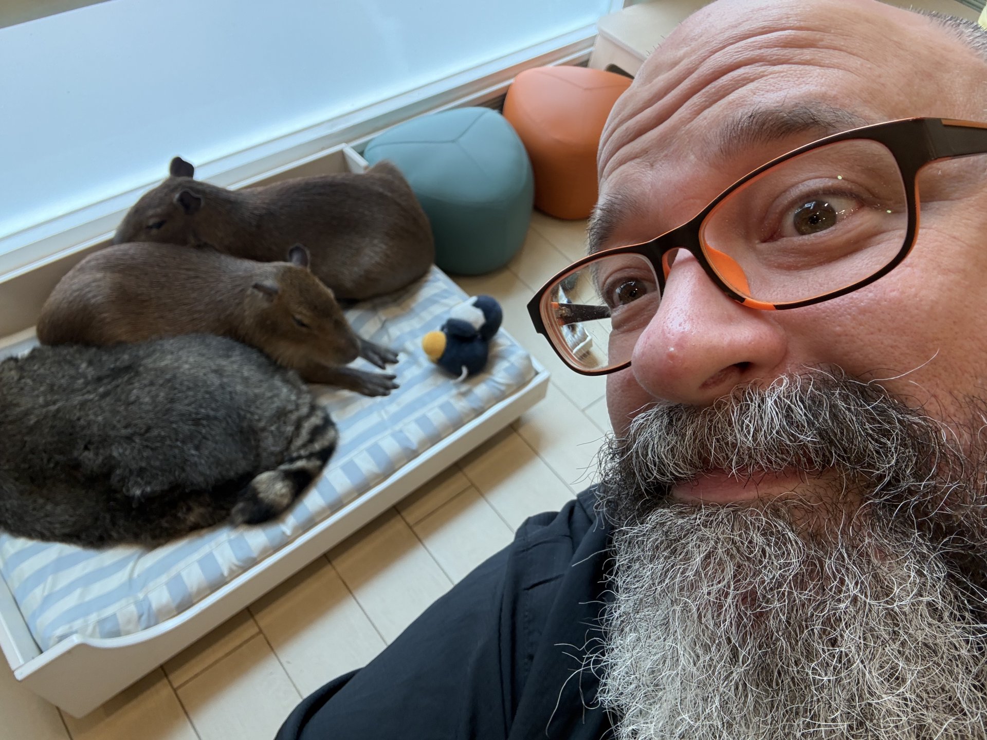 Scott with Capybara